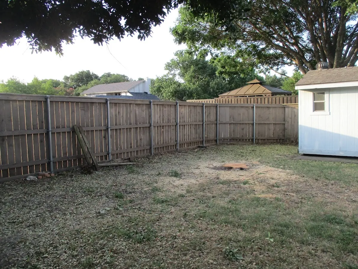 Cleared yard after professional tree removal in Ithaca